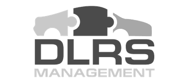 DLS Management logo
