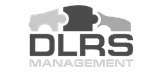 DLS Management logo